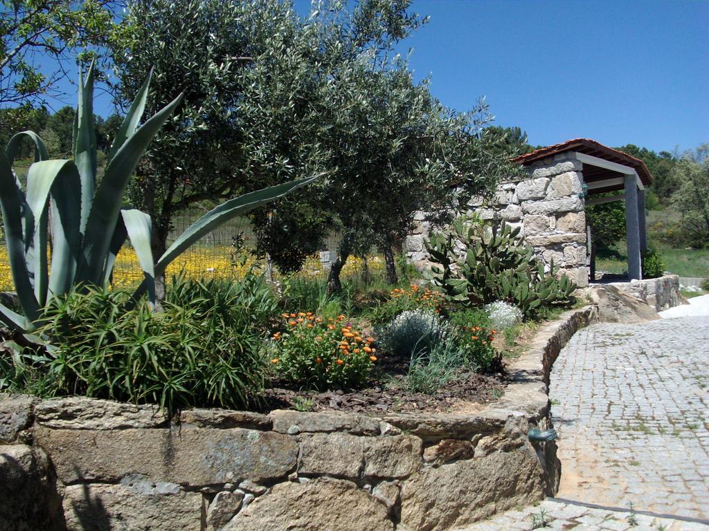 Quinta Do Mineiro-Serra Da Estrela Matanca Δωμάτιο φωτογραφία