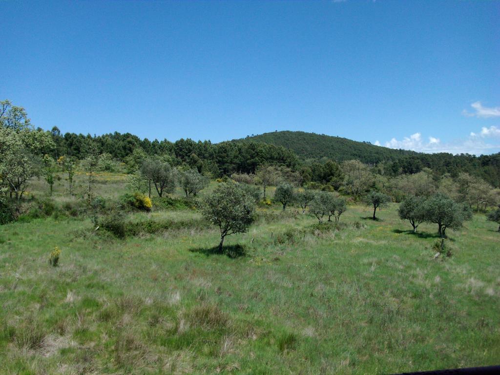 Quinta Do Mineiro-Serra Da Estrela Matanca Δωμάτιο φωτογραφία