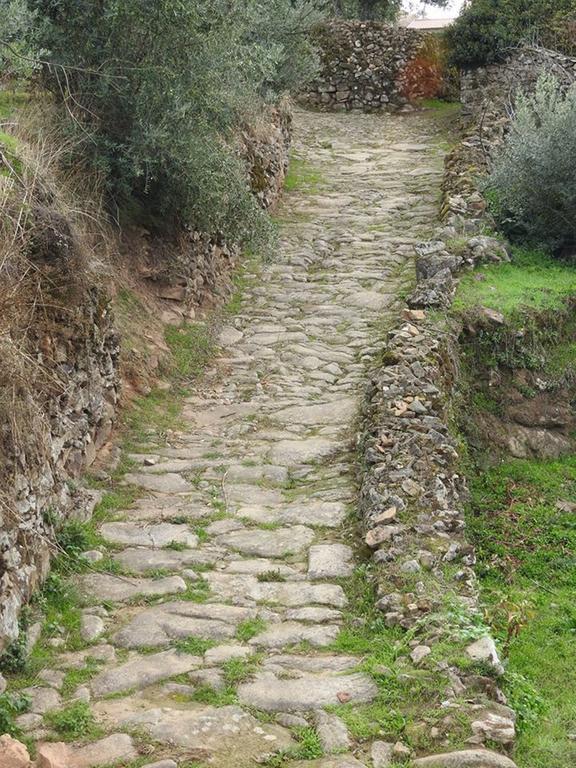 Quinta Do Mineiro-Serra Da Estrela Matanca Εξωτερικό φωτογραφία