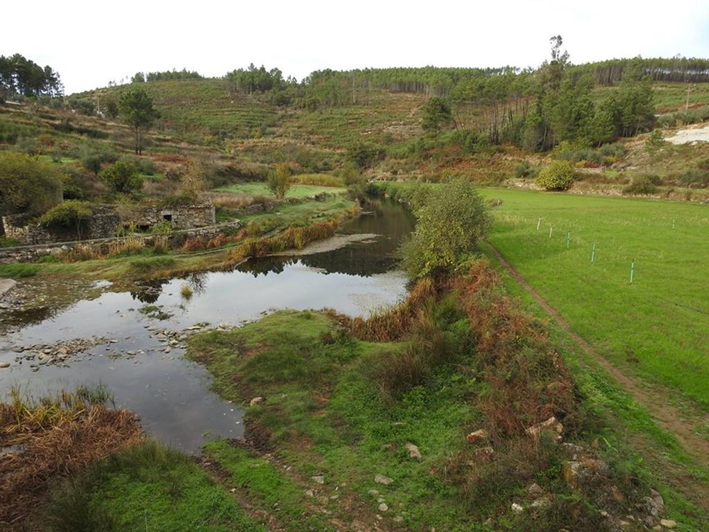 Quinta Do Mineiro-Serra Da Estrela Matanca Εξωτερικό φωτογραφία