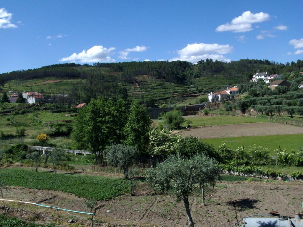 Quinta Do Mineiro-Serra Da Estrela Matanca Εξωτερικό φωτογραφία